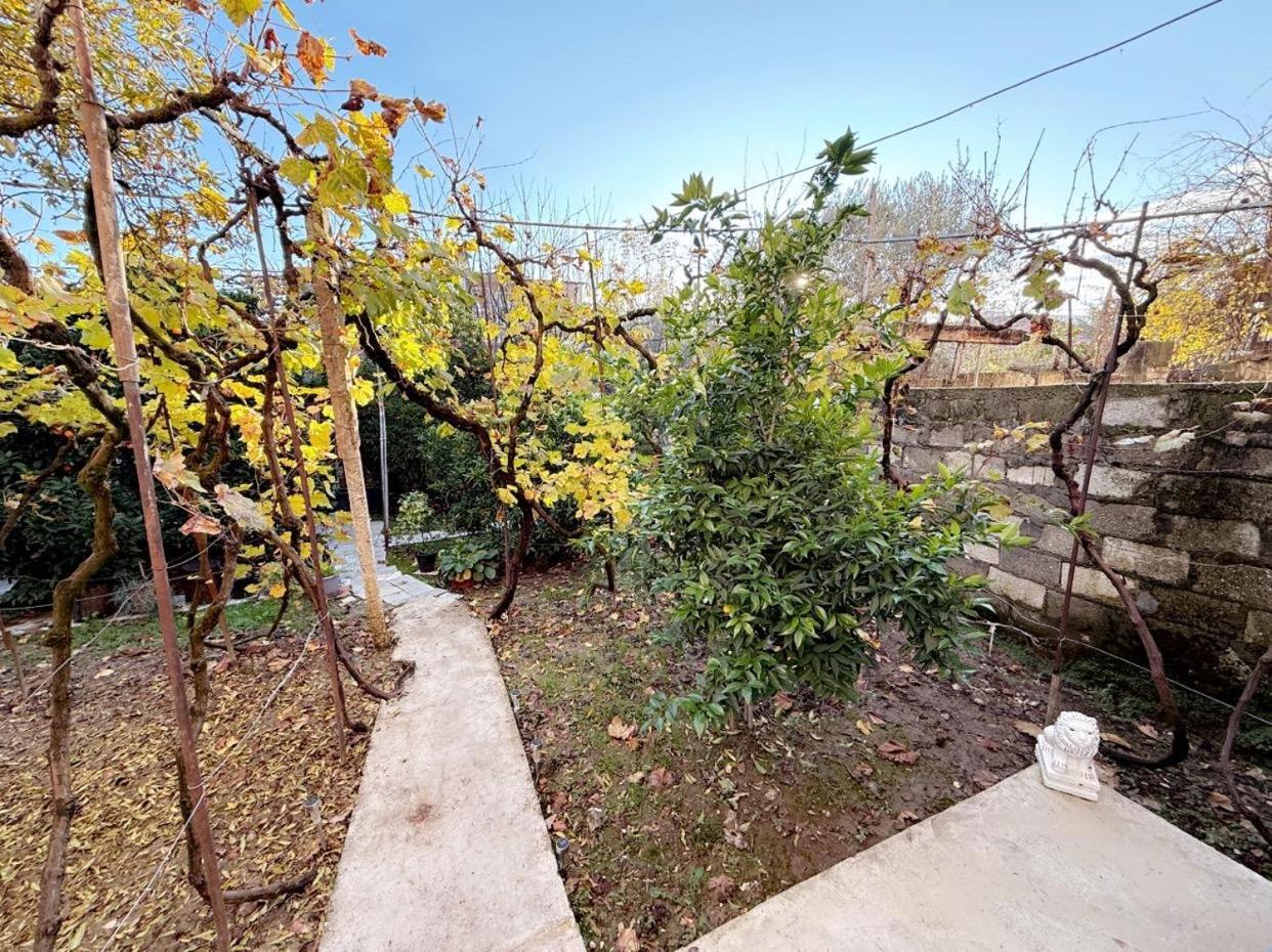 Guesthouse Albi Berat Exterior photo